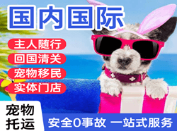 阿勒泰雪都机场物流国际宠物托运 【国